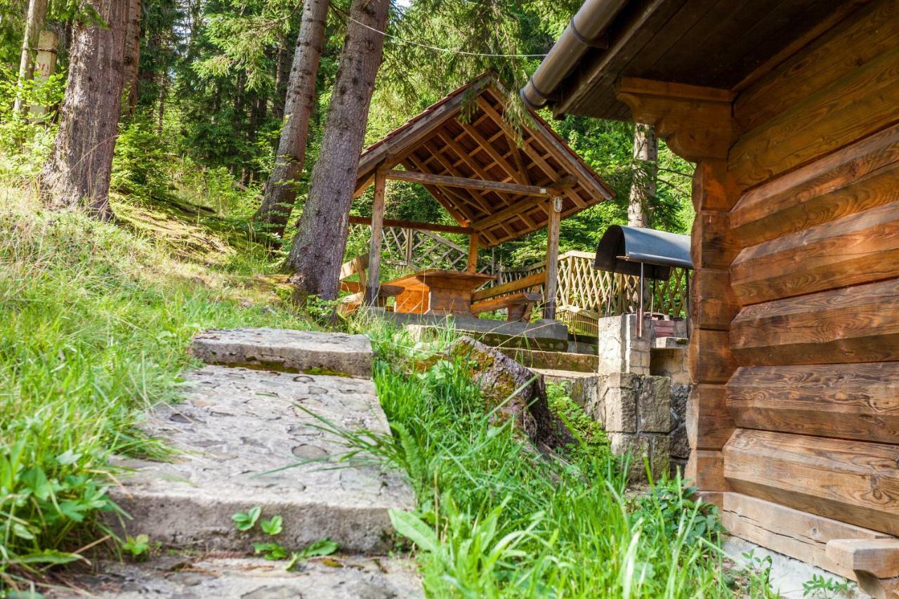 Альпина Hotel Yaremche Luaran gambar