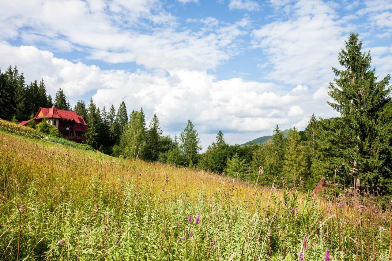 Альпина Hotel Yaremche Luaran gambar