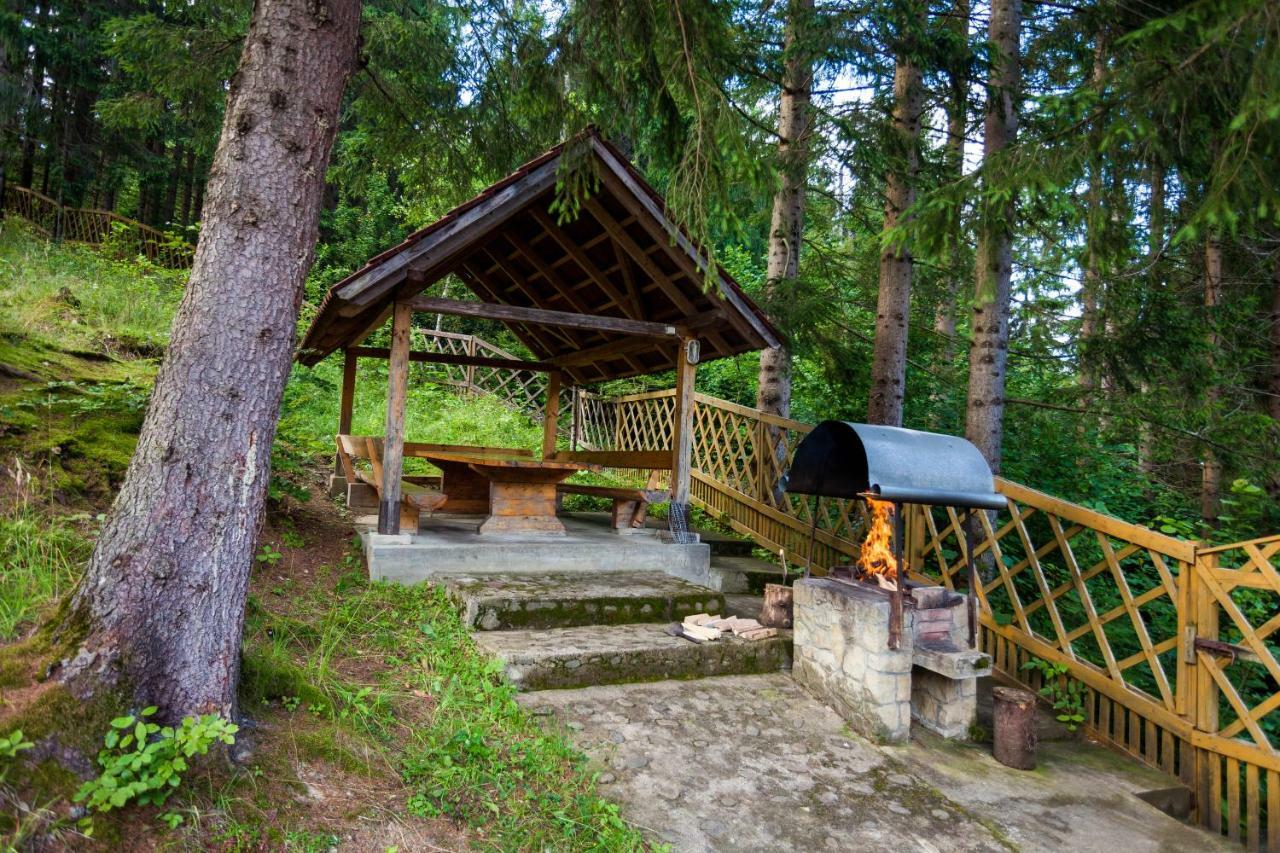 Альпина Hotel Yaremche Luaran gambar