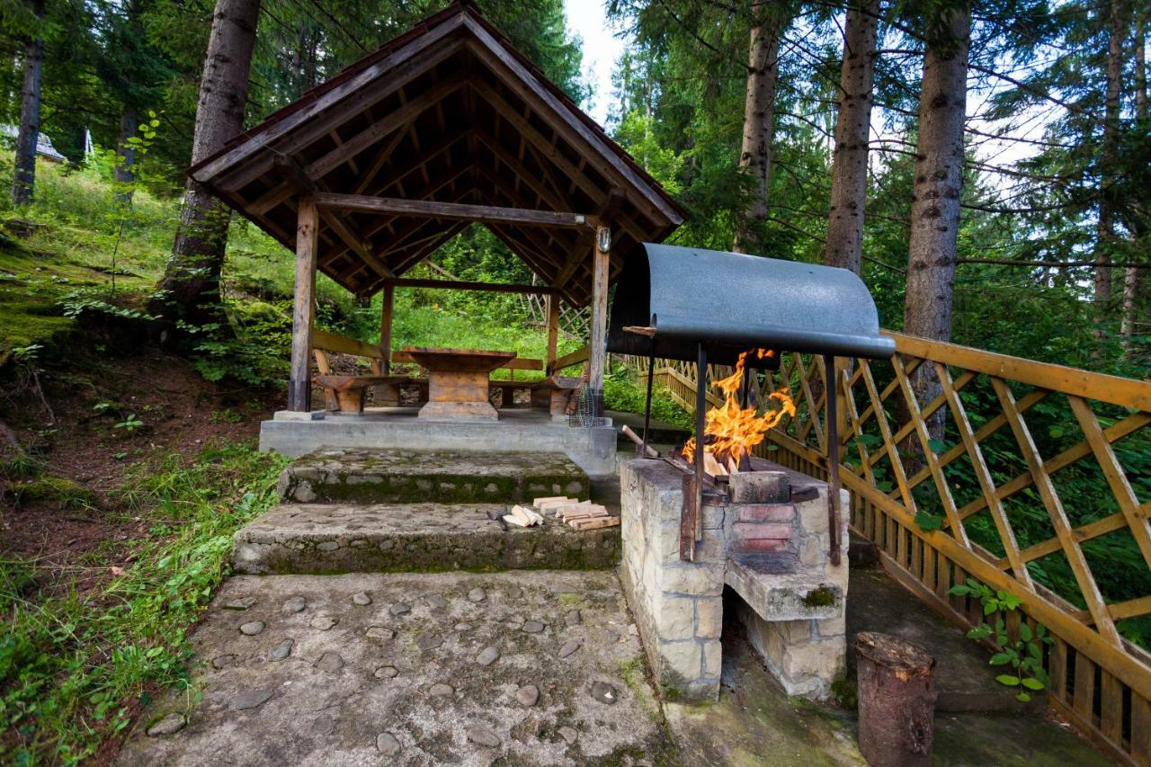 Альпина Hotel Yaremche Luaran gambar