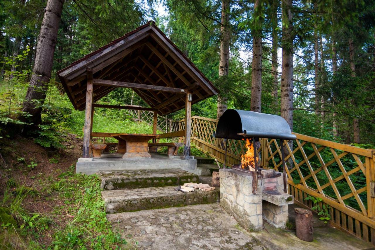 Альпина Hotel Yaremche Luaran gambar