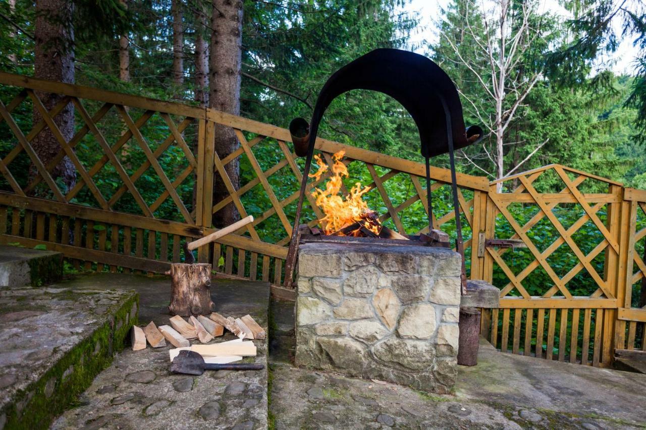 Альпина Hotel Yaremche Luaran gambar