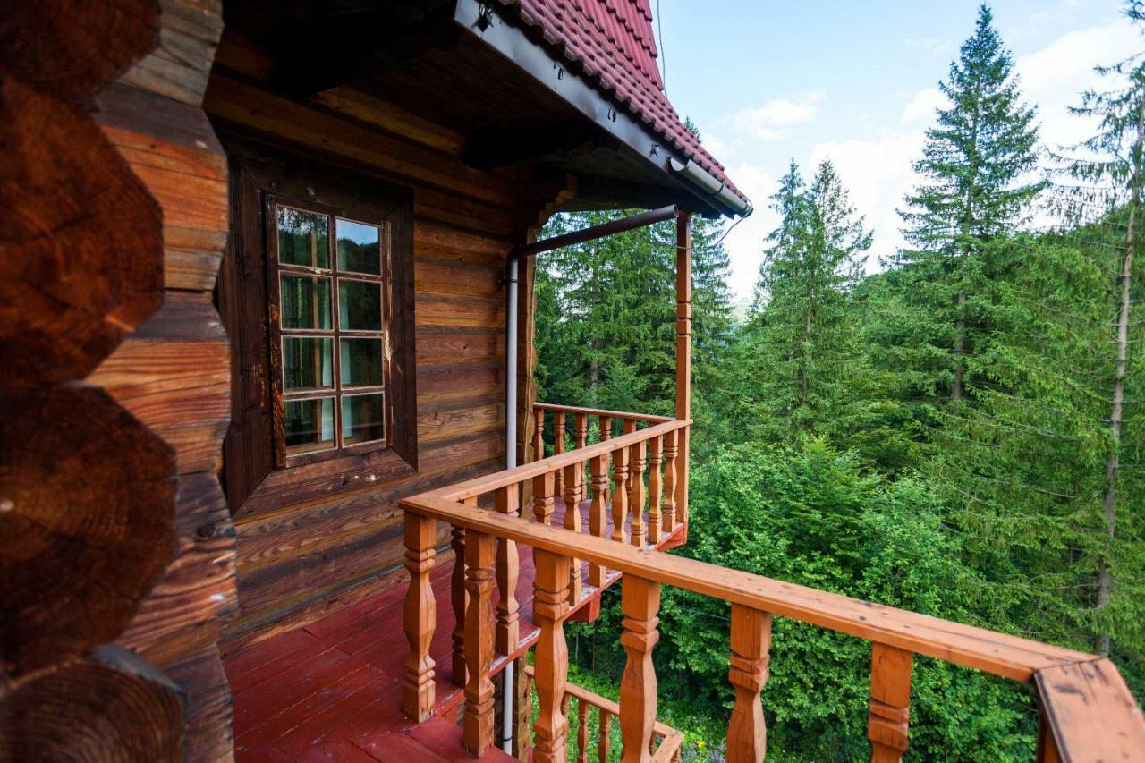 Альпина Hotel Yaremche Luaran gambar