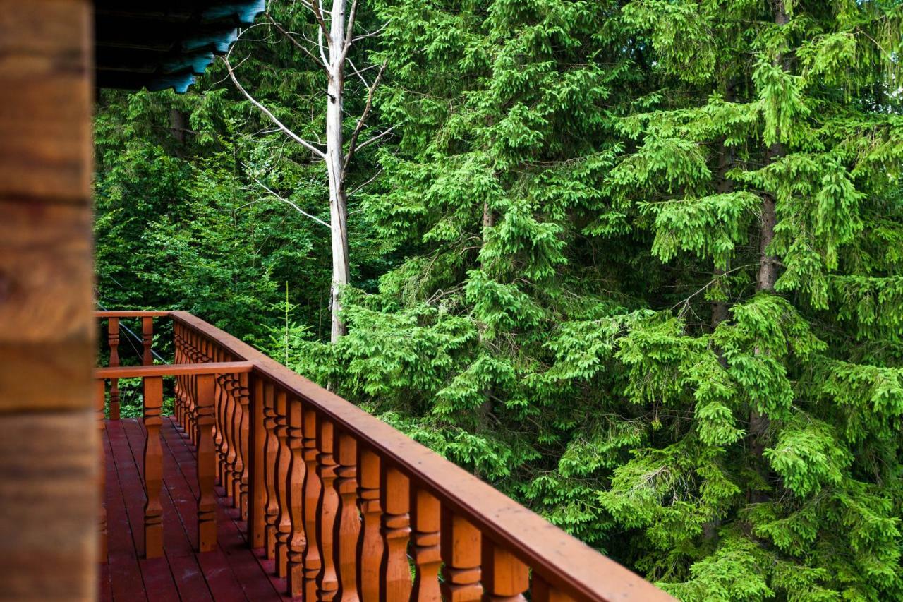 Альпина Hotel Yaremche Luaran gambar