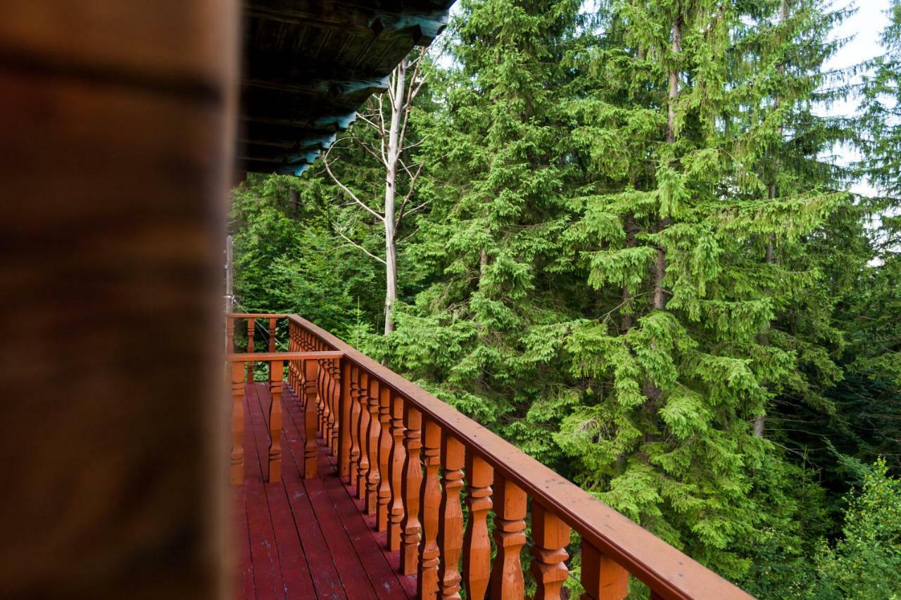 Альпина Hotel Yaremche Luaran gambar