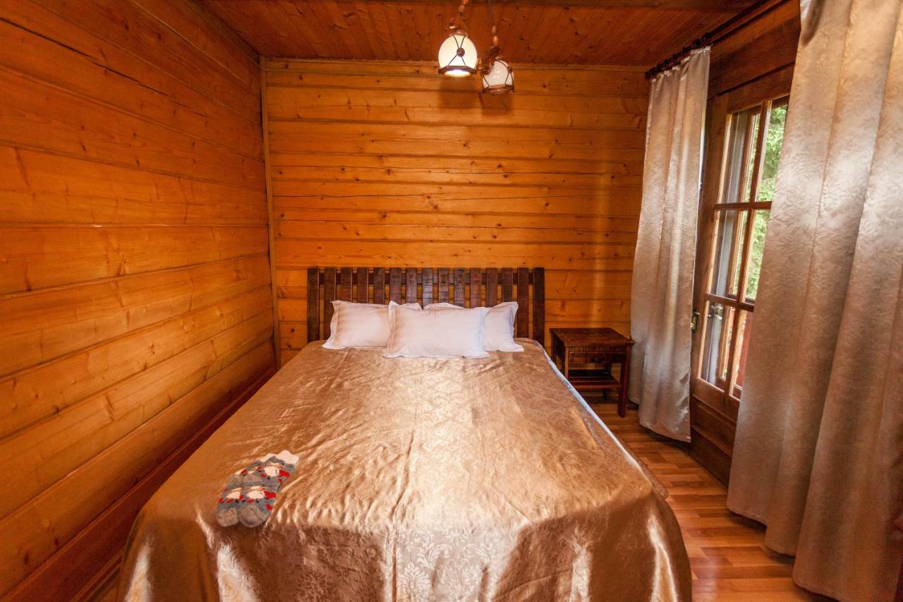 Альпина Hotel Yaremche Luaran gambar